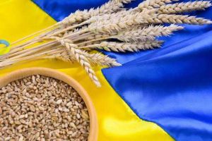 Експорт українського зерна в листопаді перевищив 2 млн тонн